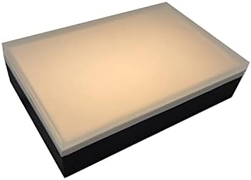 LUMENGY Paver Light 6X9 Inch (5.82 x 8.85 inches) 2700K, Brick Lighting for Pavers, Driveways, Pathways, Patios, Inground & Garden, 12V Waterproof, Drive-Over Rated by LUMENGY