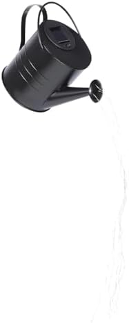 Solar Watering Can Lamp for Lawn and Patio Metal Black Decorative Lighting by FENICAL