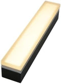 LUMENGY Paver Light 2x8 Inch (1.97x7.87), 2700K Warm White, Glare-Free Brick Lighting for Driveways, Walkways, Pool Decks and Patios, 12V Hardwired, IP67 Waterproof, Drive-Over Rated by LUMENGY