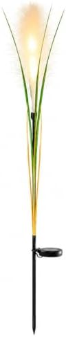 Solar Pampas Grass Stake Light, 27.6″ 5W Warm LED for Garden Beds by Unknown
