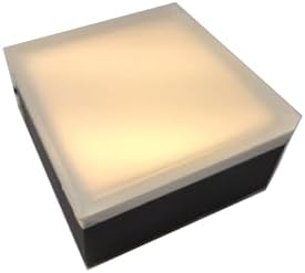 LUMENGY Paver Light 4x4 Inch (3.93x3.93), 2700K Warm White, Glare-Free Brick Lighting for Driveways, Walkways, Pool Decks and Patios, 12V Hardwired, IP67 Waterproof, Drive-Over Rated by LUMENGY