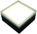 LUMENGY Paver Light 4x4 Inch (3.93x3.93), 5000K Daylight, Glare-Free Brick Lighting for Driveways, Walkways, Pool Decks and Patios, 12V Hardwired, IP67 Waterproof, Drive-Over Rated by LUMENGY