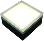 LUMENGY Paver Light 4x4 Inch (3.93x3.93), 5000K Daylight, Glare-Free Brick Lighting for Driveways, Walkways, Pool Decks and Patios, 12V Hardwired, IP67 Waterproof, Drive-Over Rated by LUMENGY