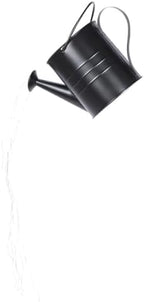 Garneck Solar Watering Can Lawn Lamp Outdoor LED Solar Garden Lights Decorative Black Iron Patio Yard Pathway Lighting by GARNECK