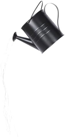 Garneck Solar Watering Can Lawn Lamp Outdoor LED Solar Garden Lights Decorative Black Iron Patio Yard Pathway Lighting by GARNECK