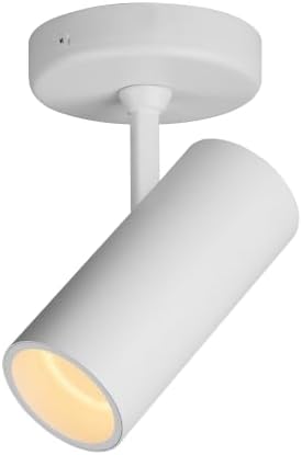 Aisilan LED Modern Directional Dimmable Spotlight Adjustable 90 Degrees Anti Glare Ceiling Spot Light for Indoor Foyer Living Room Warm White White 9W CREE COB CRI 97 by AisilanLighting