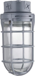 Lithonia Lighting Jelly Jar Light Fixture, Incandescent Utility Vapor Tight Ceiling Lamp, Industrial Style Wall Light for Indoor and Outdoor Use, 150W, 120V, Includes Junction Box, Grey (VC150I M12) by AcuityBrands