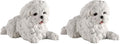 Veronese Design Maltese White Terrier Puppy Dog Animal Resin Figurine (Pack of 2) by VeroneseDesign
