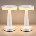 Riakrum 2 Pcs LED Cordless Table Lamp Bulk Rechargeable,White by Riakrum