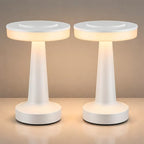 Riakrum 2 Pcs LED Cordless Table Lamp Bulk Rechargeable,White by Riakrum