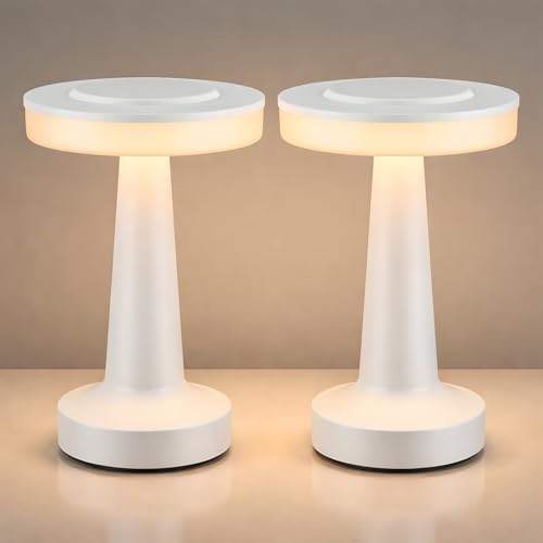 Riakrum 2 Pcs LED Cordless Table Lamp Bulk Rechargeable,White by Riakrum