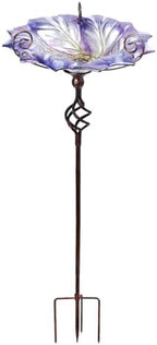 VCUTEKA Glass Outdoor Bird Bath Bird Feeder with Metal Stake Garden Decor by VCUTEKA