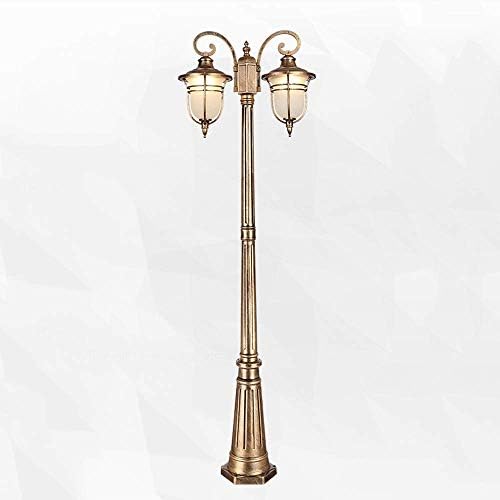Outdoor Lamp Post Light, High Pole Landscape Street Light 2-Heads Pillar Lamp Waterproof Floor Lamp Outdoor Courtyard Post Lantern Rustproof Alumin，Height 2m by Unknown