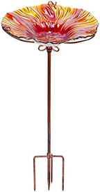 MUMTOP Glass Bird Bath for Outside, Red Bird Feeder Birdbaths for Oudoors by MUMTOP
