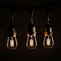 S14 Lantern Bulbs with E26 Commercial Suspender Light String, 100 Foot by HometownEvolutionInc