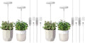 LORDEM Grow Light, Full Spectrum LED Plant Light for Indoor Plants, Height Adjustable Growing Lamp with Auto On/Off Timer 4/8/12H, 4 Dimmable Brightness, Ideal for Small Plants, 4 Packs by LORDEMLEDPlantGrowLight