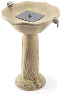 Smart Solar Acadia IntelliSolar® Outdoor Solar-Powered Birdbath Fountain with Remote, Bubbler, and Spray, Nature-Inspired Pedestal Solar Birdbath Fountain, Olive Green by SmartSolar