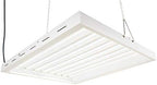 2X2Ft 100W LED Grow Lights with 5500K White Spectrum and Over 2.0 PPF/W and 20000 Lumens Great for Retrofit T5 2Ft 8 Lamp Fluo. Lights or 250W MH System, Grow Double Fast! (2X2, W55) by Unknown