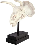 Design Toscano NE867039 Triceratops Dinosaur Skull Fossil Statue on Museum Mount,Multicolored - Image 2