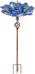 VCUTEKA Glass Bird Bath Outdoor Birdfeeder with Metal Stake Garden Decor by VCUTEKA