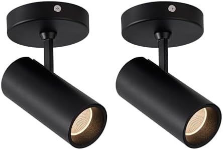 Aisilan 2 Pack LED Modern Directional Dimmable Spot Light Indoor, Adjustable Angle Wired Ceiling Spotlight Lamp for Living Room, Painting, Artwork Accent Lighting - Warm Light 3000K, 9W, CRI 97 by AisilanLighting