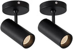 Aisilan 2 Pack LED Modern Directional Dimmable Spot Light Indoor, Adjustable Angle Wired Ceiling Spotlight Lamp for Living Room, Painting, Artwork Accent Lighting - Warm Light 3000K, 9W, CRI 97 by AisilanLighting