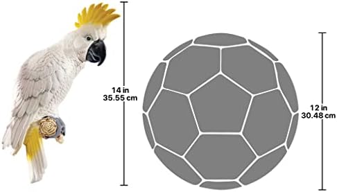 Design Toscano QL119618 Citron Cockatoo Bird Tropical Decor Wall Sculpture, 14 Inch, Polyresin, Full Color, 9.00" x 14.00" - Image 3