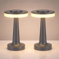 Riakrum 2 Pcs LED Cordless Table Lamp Bulk Rechargeable,Gray by Riakrum