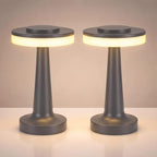 Riakrum 2 Pcs LED Cordless Table Lamp Bulk Rechargeable,Gray by Riakrum