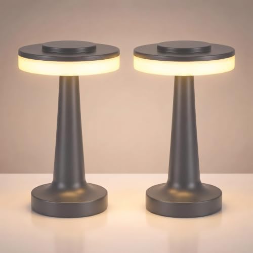 Riakrum 2 Pcs LED Cordless Table Lamp Bulk Rechargeable,Gray by Riakrum