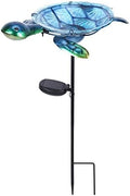 MUMTOP Outdoor Bird Bath Solar Birdbath Garden Turtle Bowl with Metal Stake by MUMTOP