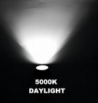 5W Spot Lights Outdoor 5000K Daylight White Flag Pole Light 12V~24V AC/DC LED Landscape Spotlights, Waterproof Low Voltage Landscape Lighting for Yard (8) - Image 6