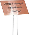 Outdoor Metal Garden Sign, Label, or Memorial. 4 x 2" or 6 x 4" sign with rounded corners and a 10" stake. Materials Include: Stainless Steel, Brass, Copper, Bronze and Titanium. (Copper, 4 x 2") by PlaqueMaker