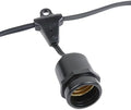 Novelty Lights 100 Feet Heavy Duty Light String, 50 Suspended E26 Sockets by NoveltyLights-LightExperts