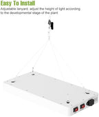 500W Power Red-Blue LED Grow Light, 287 High-Efficiency Lamp Beads VEG/BLOOM Dual Modes, 100-277V Universal Voltage US Plug – Suitable for Greenhouse, Hydroponic Systems & Flower/Vegetable Cultivation - Image 6