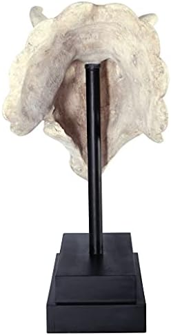 Design Toscano NE867039 Triceratops Dinosaur Skull Fossil Statue on Museum Mount,Multicolored - Image 5