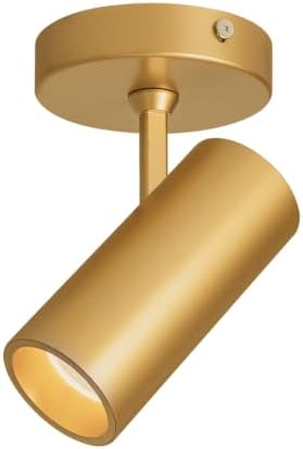 Aisilan 9W LED Dimmable Ceiling Spotlight, Adjustable Directional Surface Flush Mount Lighting, Wall Spot Lights Indoor Accent Fixture for Art Picture Gallery Paintings, CRI 97, 3000K, Gold by AisilanLighting