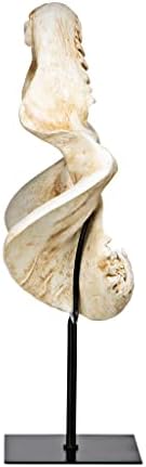 Design Toscano Shark's Jagged Jaws Statue - Image 6