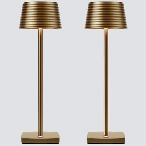Cordless Rechargeable LED Table Lamp Set of 2, Titanium by BarrycaLighting