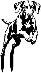 Dog Metal Garden Stake - Weatherproof Dog Silhouette Yard Art, Decorative Outdoor Sign for Lawn & Patio, Heartfelt Gift for Vizsla Lovers(Jump,10") by VORISCAPE