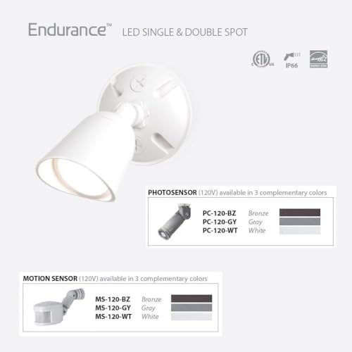 WAC Lighting, Endurance Single Spot Energy Star 15W LED Spot Light 5000K in Graphite - Image 2