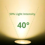 GKOLED 12V LED Brass Well Lights, In Ground Light Outdoor with MR16 Bulb and Swival Base, Low Voltage Landscape Lighting, 5W 410LM 2700K, IP67 Waterproof Up Light for Garden, Open Top, 12 Pack - Image 6