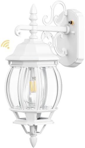 VIANIS Porch Lights Outdoor Dusk to Dawn, Waterproof, Anti-Rust by VIANISLIGHTING
