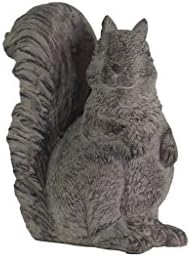 Urban Trends Cement Sitting Squirrel Figurine Hand Against The Chest SM Rough Concrete Finish Gray by UrbanTrendsCollection