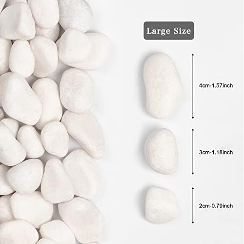 20lbs White Natural River Rocks, Polished Pebbles for Plants Garden, 1-2 inch Decorative White Stones, Ideal for Fish Tank, Vases, Crafting, Home Decor and Garden Landscaping Rocks,White - Image 2