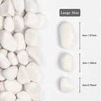 20lbs White Natural River Rocks, Polished Pebbles for Plants Garden, 1-2 inch Decorative White Stones, Ideal for Fish Tank, Vases, Crafting, Home Decor and Garden Landscaping Rocks,White - Image 2
