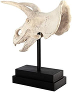 Design Toscano NE867039 Triceratops Dinosaur Skull Fossil Statue on Museum Mount,Multicolored - Image 4
