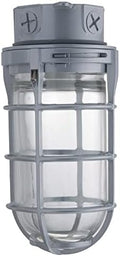 Lithonia Lighting Incandescent Vapor Tight Jelly Jar Light 150W 120V Grey by AcuityBrands