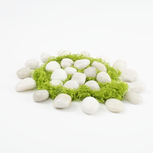 River Rocks - Natural Polished White Pebbles, 0.5-1 inch, 40 lbs - Perfect for Indoor Planting, Vase Filling, Aquarium Decoration, and Garden Landscaping (White, Weight: 40 LB) - Image 4