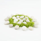 River Rocks - Natural Polished White Pebbles, 0.5-1 inch, 40 lbs - Perfect for Indoor Planting, Vase Filling, Aquarium Decoration, and Garden Landscaping (White, Weight: 40 LB) - Image 4
